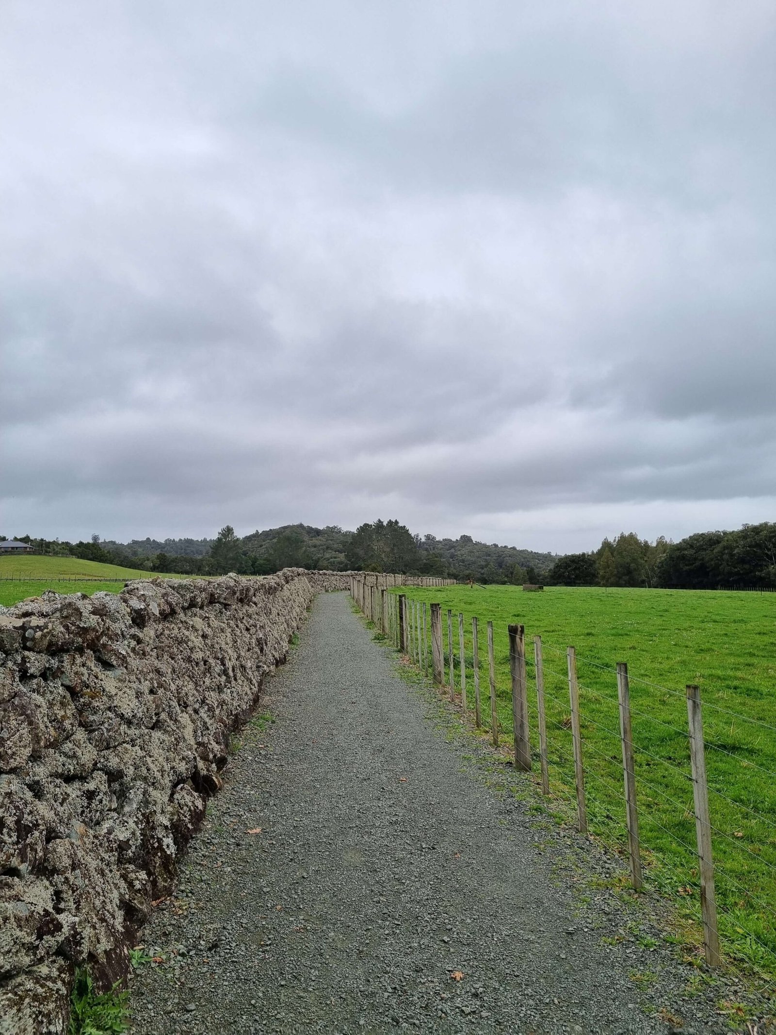 Rain-Clouds-While-Hiking-For-Coffee